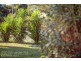 450 Windsor Road, Baulkham Hills NSW 2153