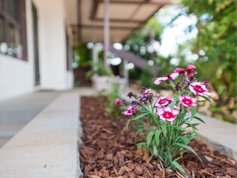 28 Dalray Street, Lalor Park NSW 2147