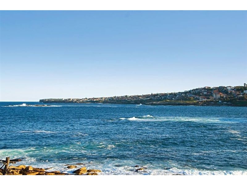 1/3 Lowe Street, Clovelly NSW 2031