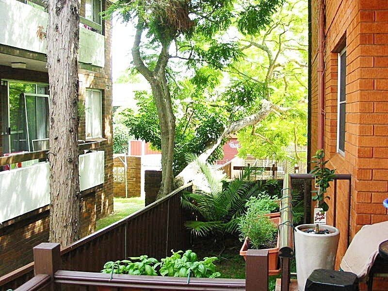 3/23 Palace Street, Ashfield NSW 2131