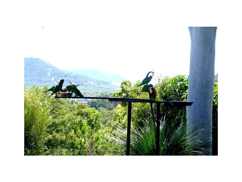 71 Hibiscus Rd, Cannon Valley QLD 4800