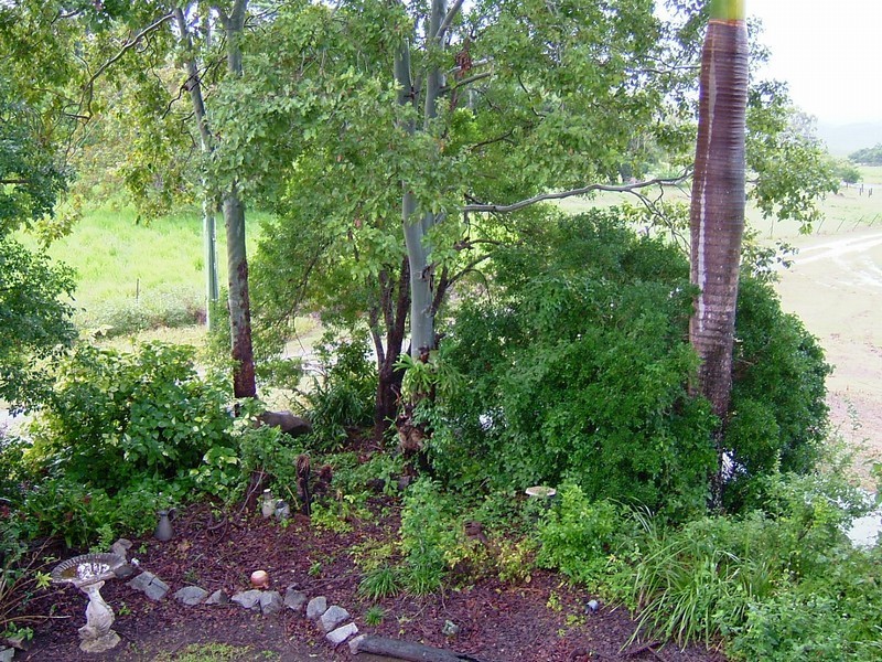 477 Strathdickie Rd, Strathdickie QLD 4800