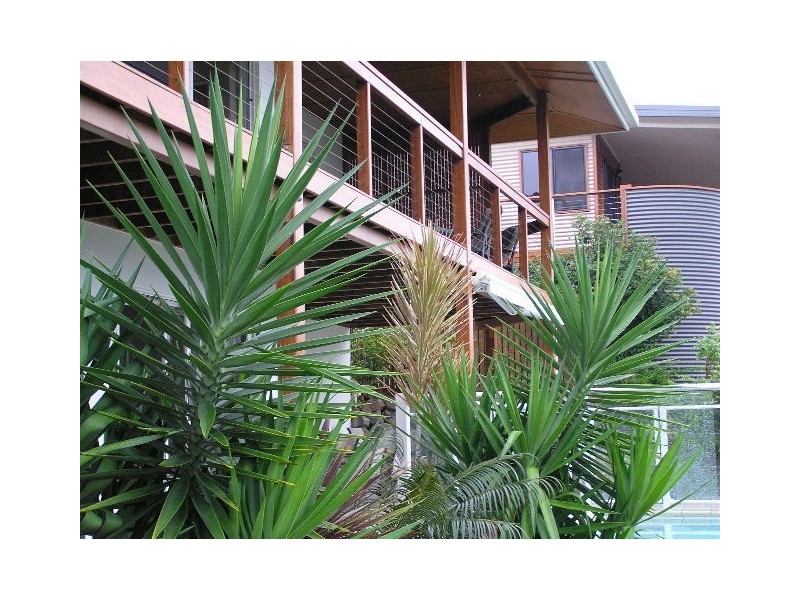 25 Country Road, Cannonvale QLD 4802