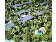 17/28 Cnr Plantation & Shute Harbour Rd, Jubilee Pocket QLD 4802