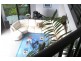 6 Neerim Crescent, Shute Harbour QLD 4802