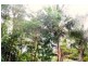 6 Neerim Crescent, Shute Harbour QLD 4802