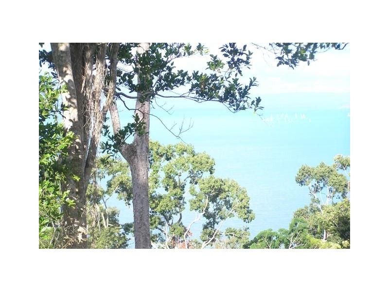 Lot 42 Botanica Drive, Cannonvale QLD 4802
