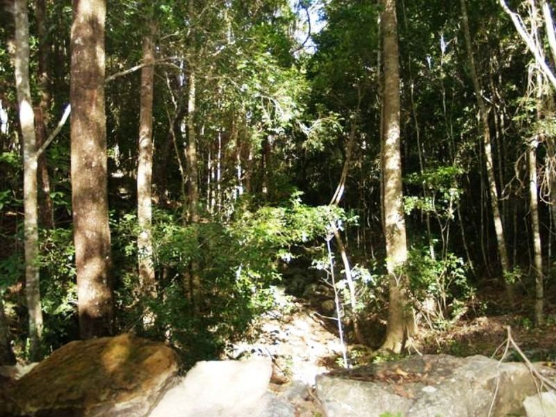 72 Hibiscus Rd, Cannon Valley QLD 4800