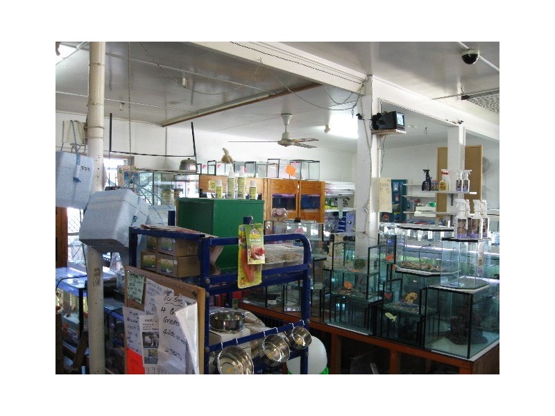 28a Kennedy Street, Bowen QLD 4805