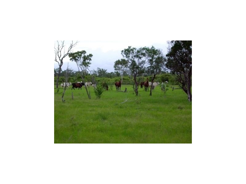 1163 Euri Road, Bowen QLD 4805