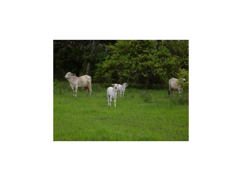 1163 Euri Road, Bowen QLD 4805