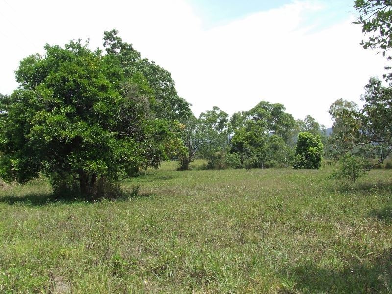 37 Rifle Range Road, Mount Marlow QLD 4800