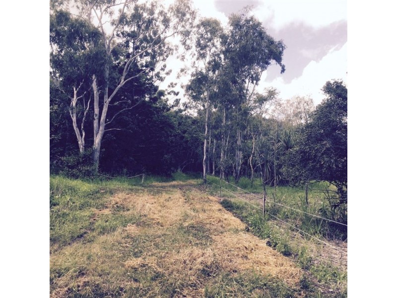 37 Rifle Range Road, Mount Marlow QLD 4800