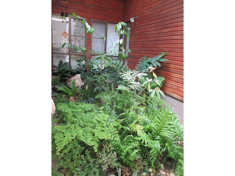 33 Tropic Road, Cannonvale QLD 4802