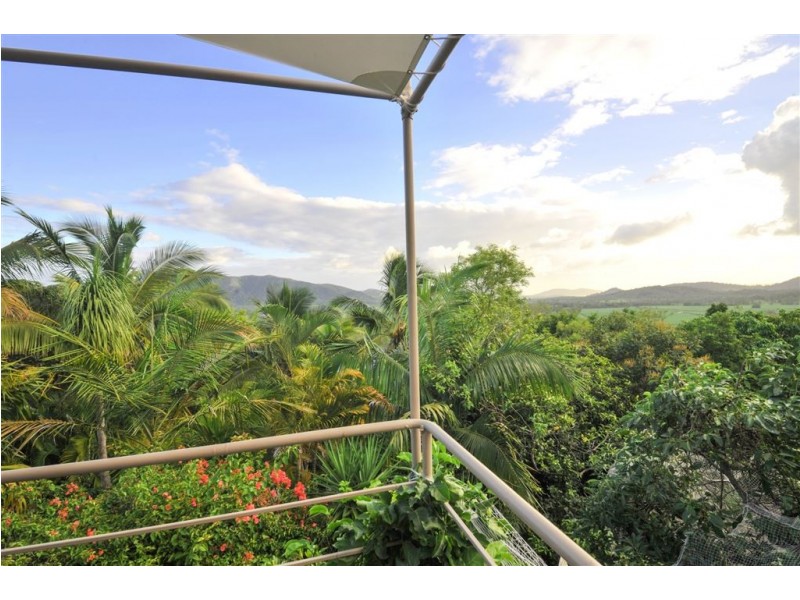 61 Black Road, Riordanvale QLD 4800