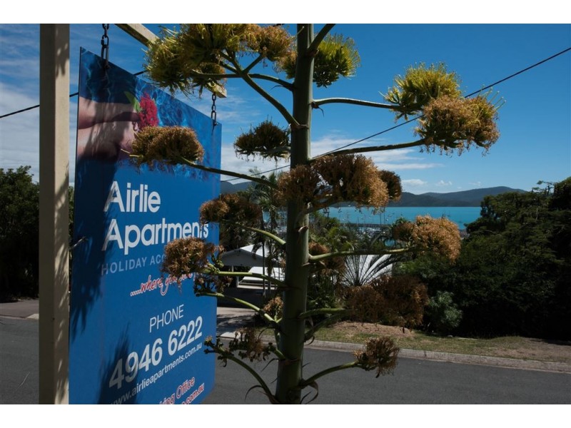 12/22 Airlie Crescent, Airlie Beach QLD 4802