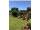 91 Abell Road, Cannonvale QLD 4802