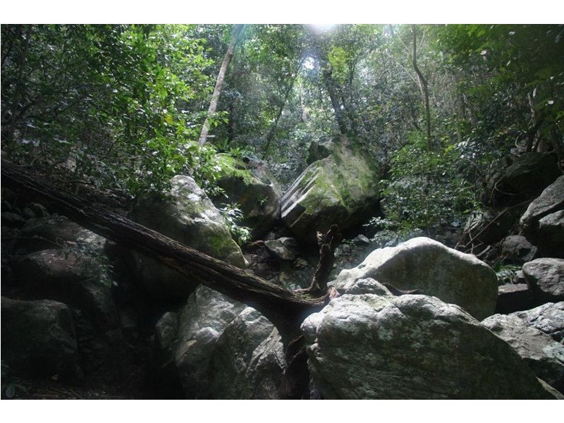 Lot 32 Sugarloaf Rd, Sugarloaf QLD 4800