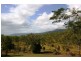 228 Paluma Road, Cannonvale QLD 4802