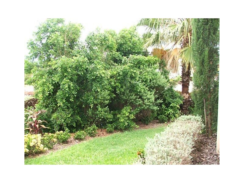 1/1 Wills Court, Cannonvale QLD 4802