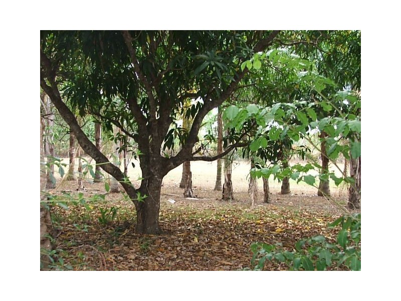 1514 Shute Harbour Road, Cannon Valley QLD 4800