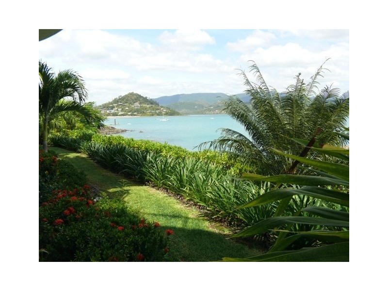 134/159 Shingley Drive, Airlie Beach QLD 4802