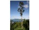 Lot 42 Botanica Drive, Cannonvale QLD 4802