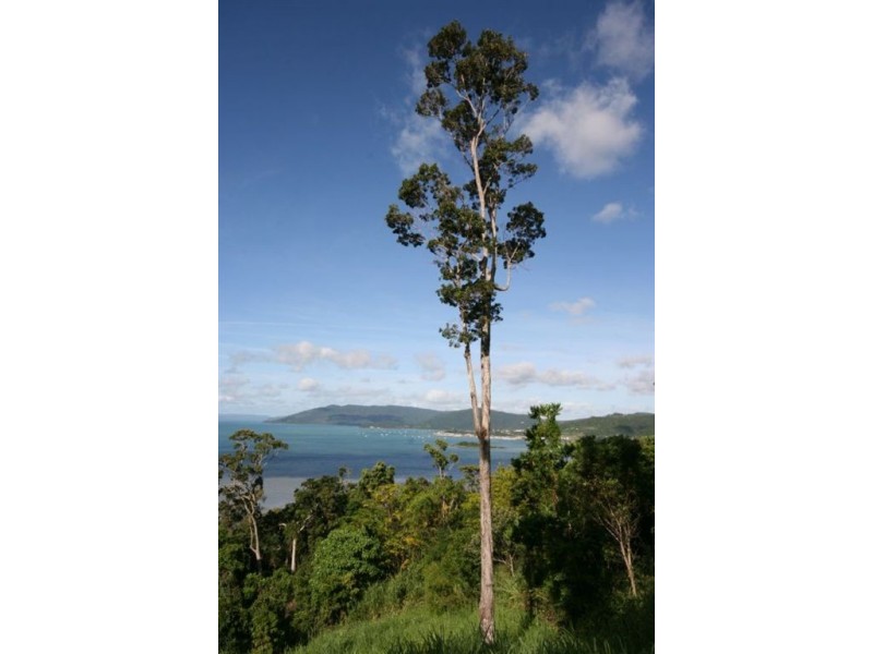 Lot 42 Botanica Drive, Cannonvale QLD 4802