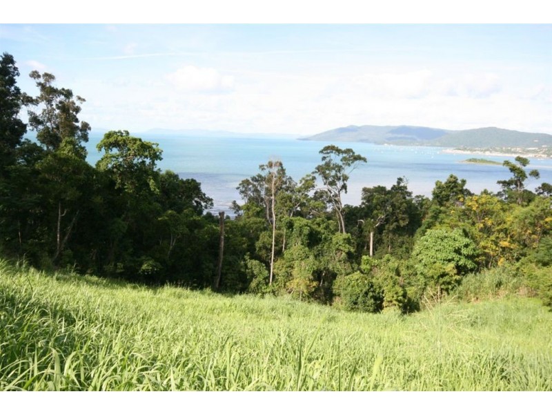 Lot 42 Botanica Drive, Cannonvale QLD 4802