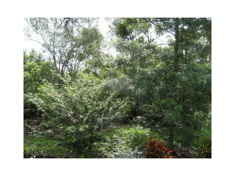 317 Sugarloaf, Sugarloaf QLD 4800