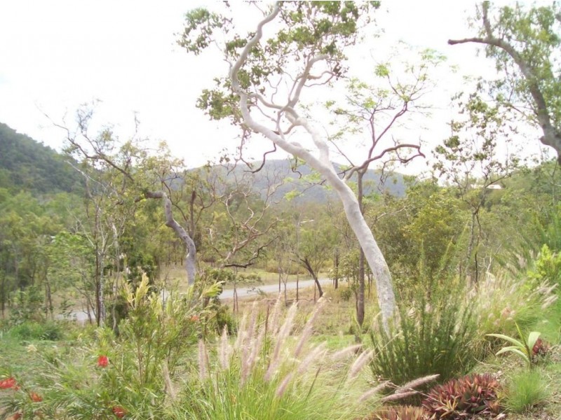 14 Mila Drive, Woodwark QLD 4802