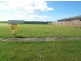 46 Telford Street, Proserpine QLD 4800