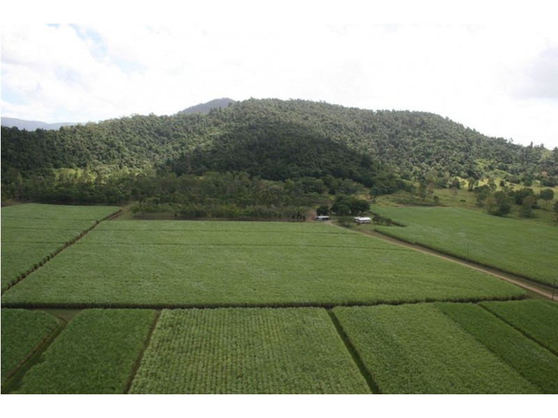 81 Telford Road, Strathdickie QLD 4800