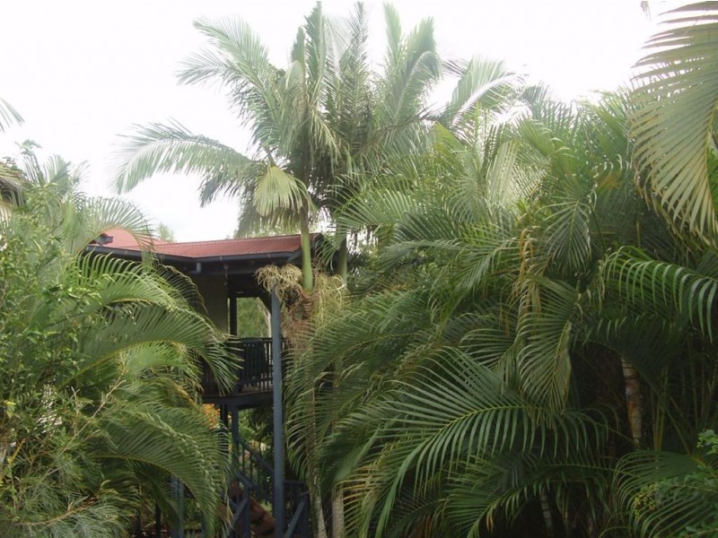 48 Jones Road, Cannonvale QLD 4802