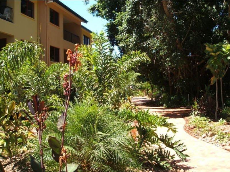 3/11 Maeva Street, Jubilee Pocket QLD 4802