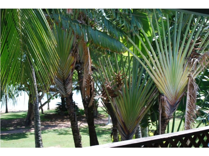 Unit 3/287 Shute Harbour Road, Cannonvale QLD 4802