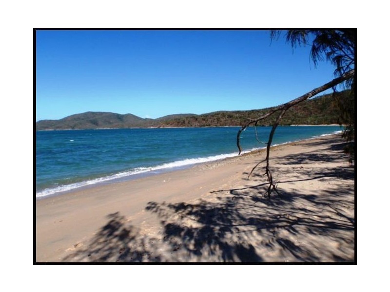 57 Trochus Street, Dingo Beach QLD 4800