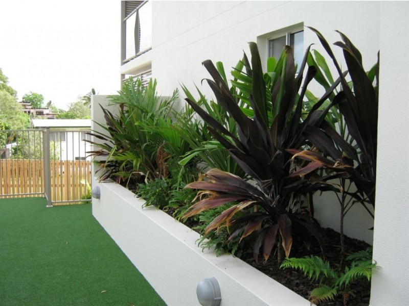 9/14 Waterson Way, Airlie Beach QLD 4802