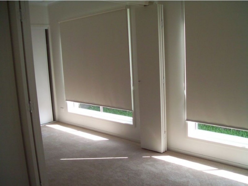 53 Abell Road, Cannonvale QLD 4802