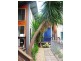 122 Mandalay Road, Jubilee Pocket QLD 4802