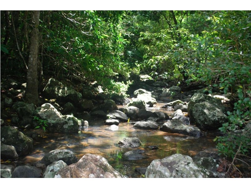 Lot 67 Brandy Creek Road, Brandy Creek QLD 4800