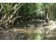 Lot 67 Brandy Creek Road, Brandy Creek QLD 4800