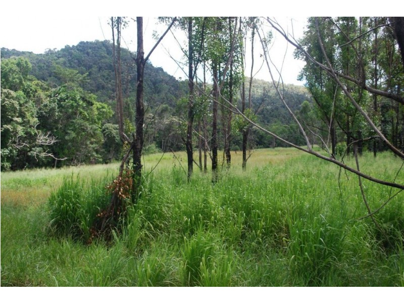 Lot 67 Brandy Creek Road, Brandy Creek QLD 4800