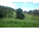 Lot 67 Brandy Creek Road, Brandy Creek QLD 4800