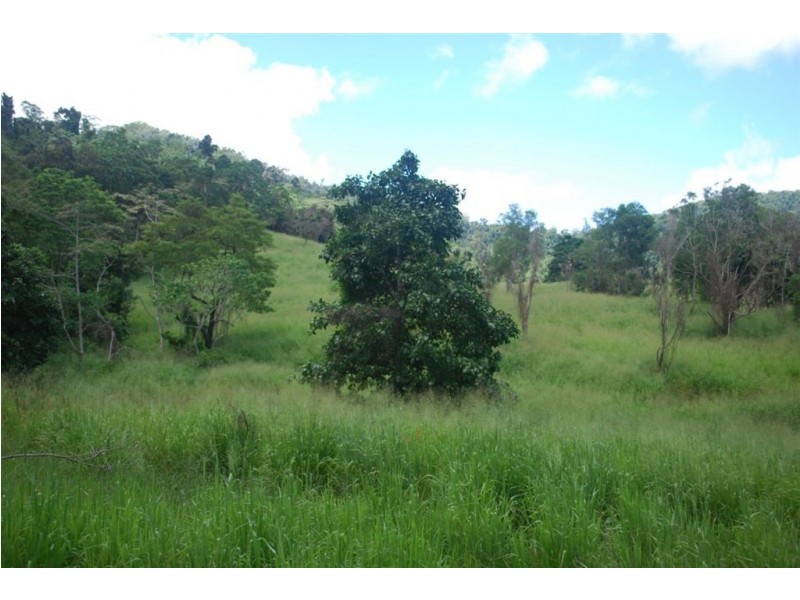 Lot 67 Brandy Creek Road, Brandy Creek QLD 4800