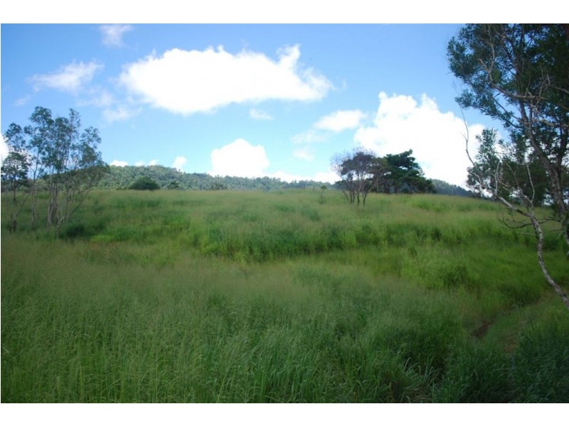 Lot 67 Brandy Creek Road, Brandy Creek QLD 4800