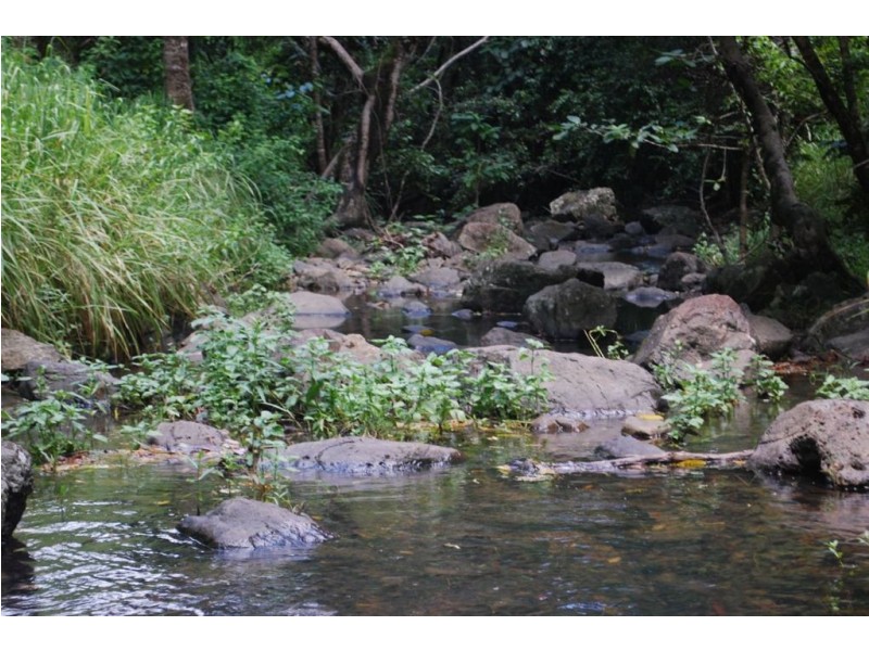 Lot 67 Brandy Creek Road, Brandy Creek QLD 4800