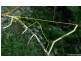 Lot 7/14 Rifle Range Road, Cannon Valley QLD 4800