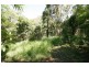 13 Neerim Crescent, Shute Harbour QLD 4802