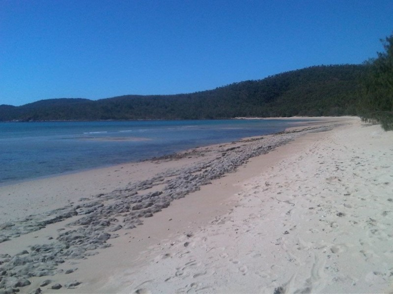28 Murex Street, Dingo Beach QLD 4800